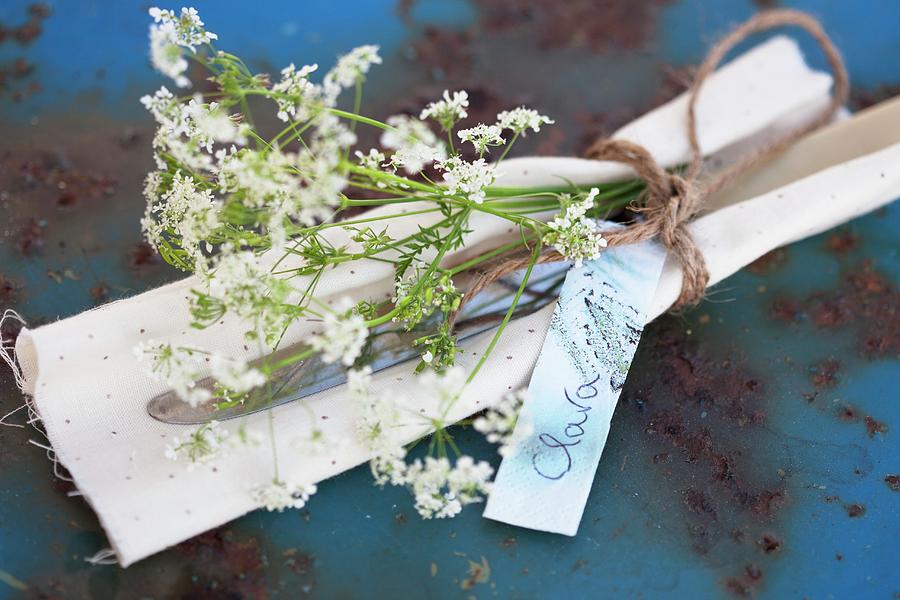 Cutlery, Napkin And Chervil Tied With String And Labelled With Name Tag Photograph by Martina Schindler
