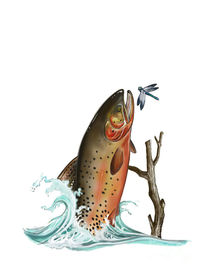 Cutthroat Trout - Digital Drawing Digital Art by Anthony Annable