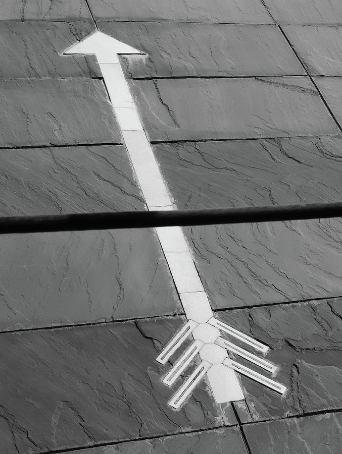 Cutting the Arrow by Prakash Ghai Cutting the Arrow by Prakash Ghai