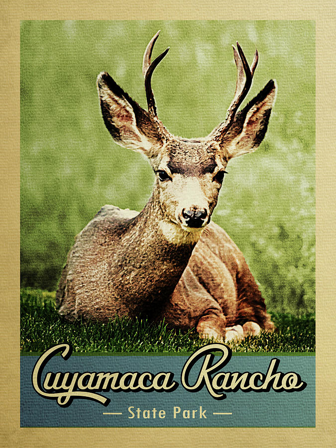 Deer Digital Art - Cuyamaca Rancho State Park Vintage Deer by Flo Karp