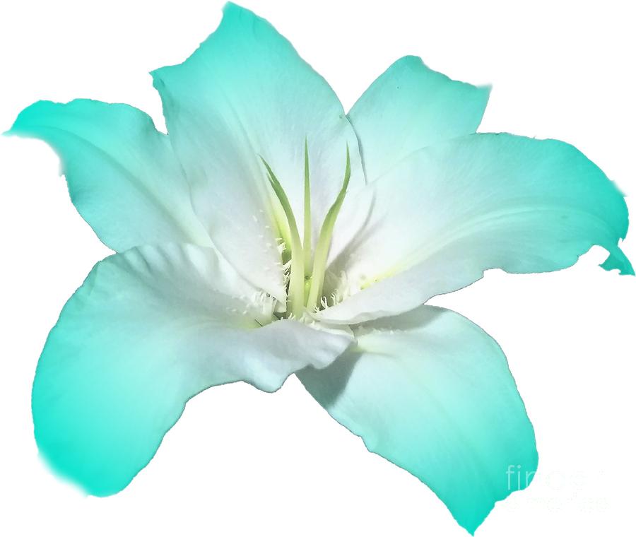Cyan Green White Lily Flower for T-shirts Mixed Media by Delynn Addams