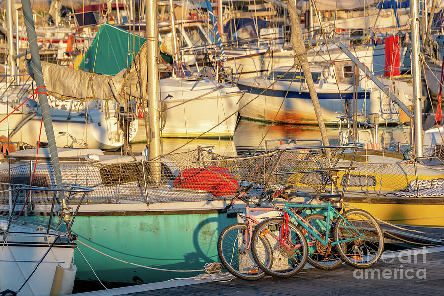 Cycling and sailing in La Rochelle, France Photograph by Delphimages Photo Creations