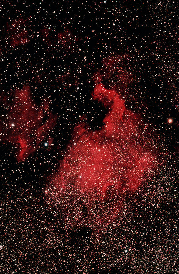 Cygnus Constellation Satellite Image Photograph by Space Frontiers