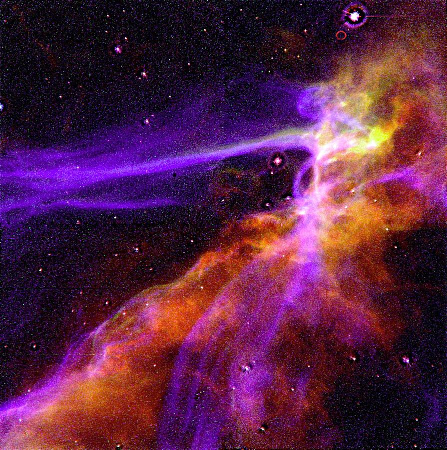 Cygnus Loop Supernova Blast Wave Painting by Celestial Images