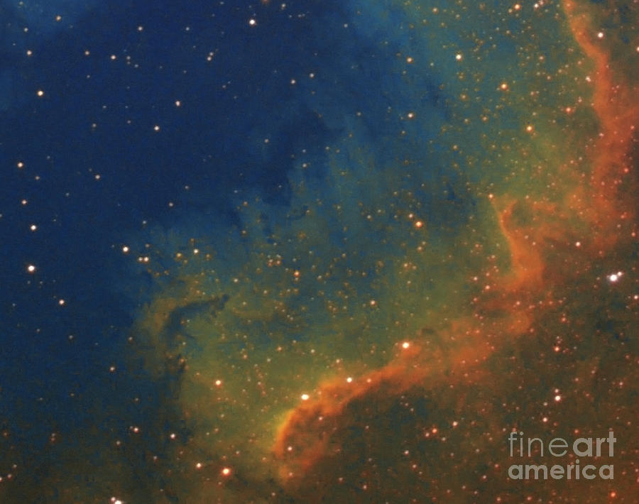 Cygnus Wall Photograph by Jerome Wilson