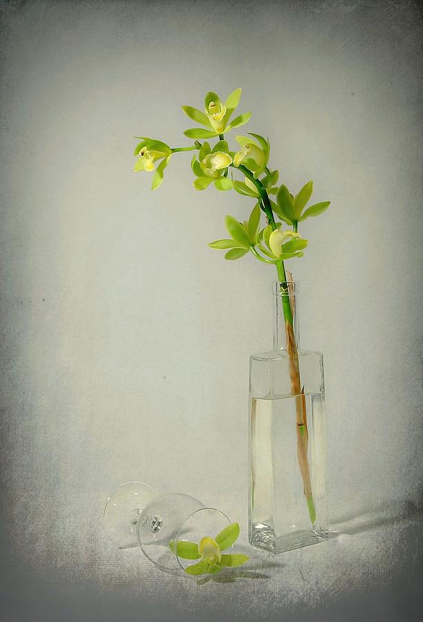 Orchid Photograph - Cymbidium by Fangping Zhou