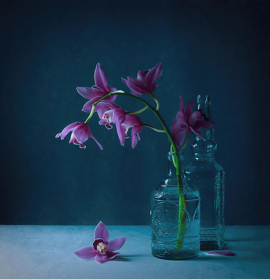 Orchid Photograph - Cymbidium Orchid by Fangping Zhou