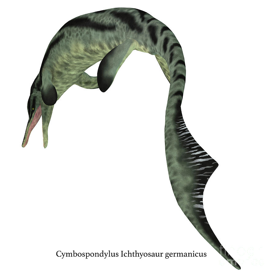 Cymbospondylus Ichthyosaur Tail with Font Digital Art by Corey Ford