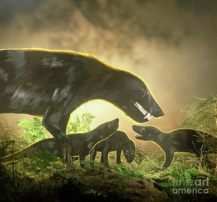 Cynognathus with young Photograph by Warren Photographic