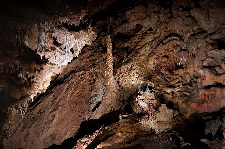 Cave Photograph - Cypress Chamber by Christian Roustan (kikroune)