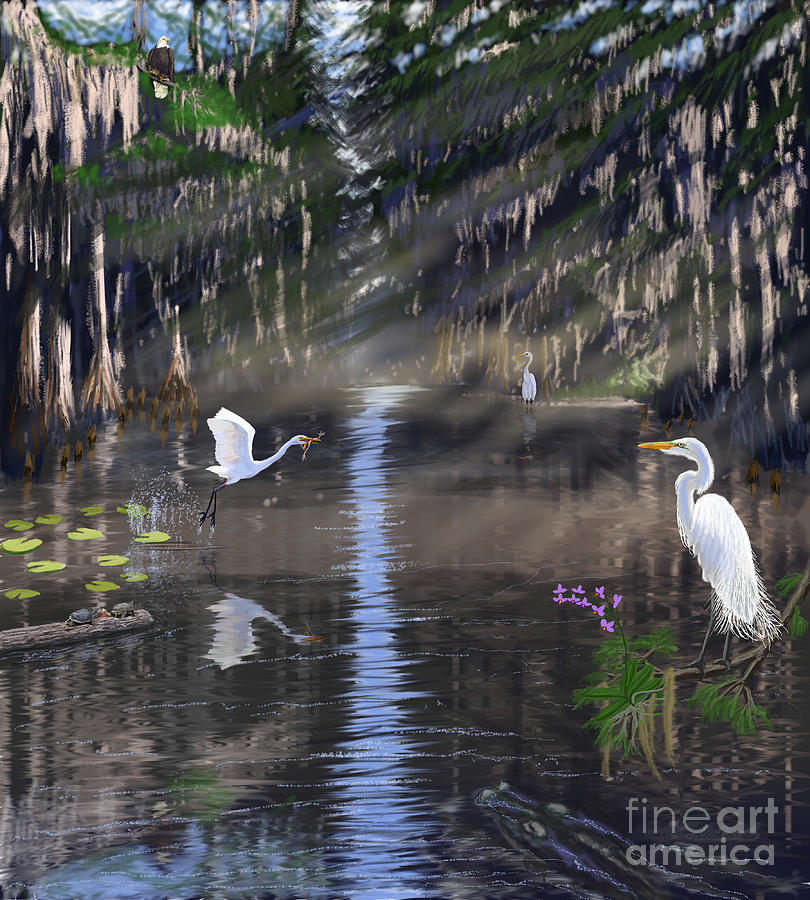 Everglades National Park Digital Art - Cypress Dome Drama by Gary F Richards