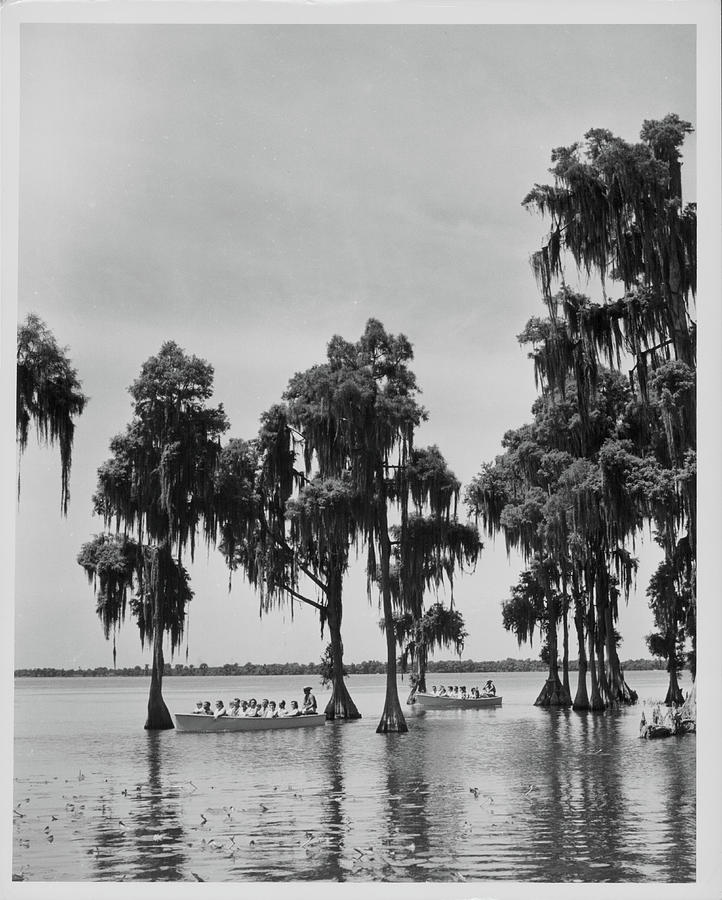 Cypress Gardens Photograph by Dick Smith