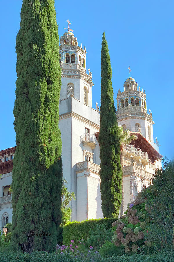 Flower Photograph - Cypress Trees at Hearst Castle by Barbara Snyder