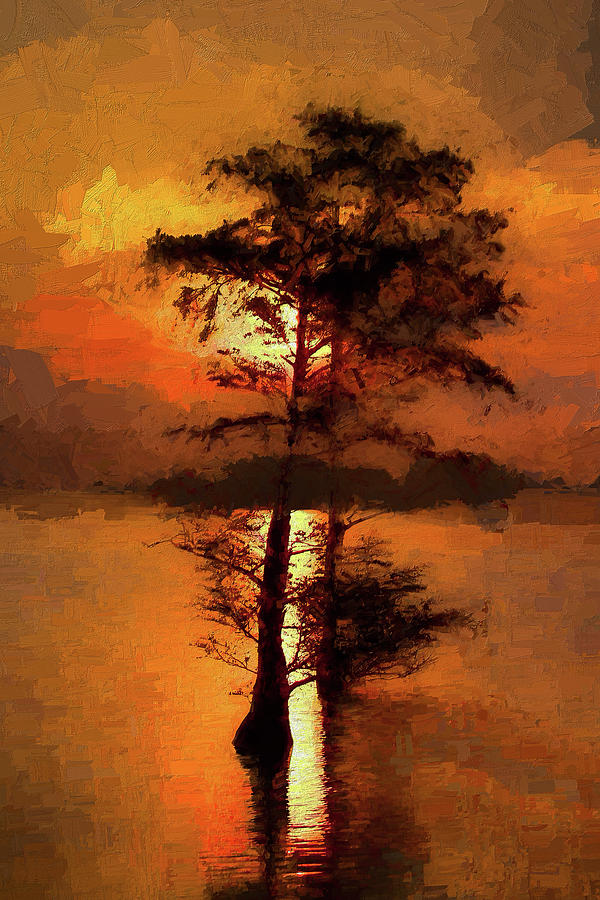 Cypress Trees at Sunrise AP Painting by Dan Carmichael