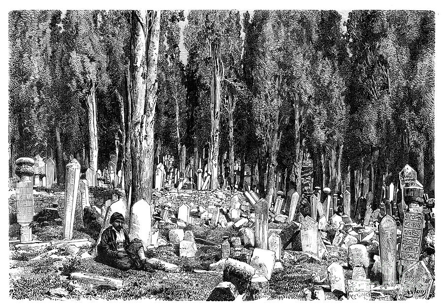 Cypress Trees In The Cemetery Drawing by Print Collector