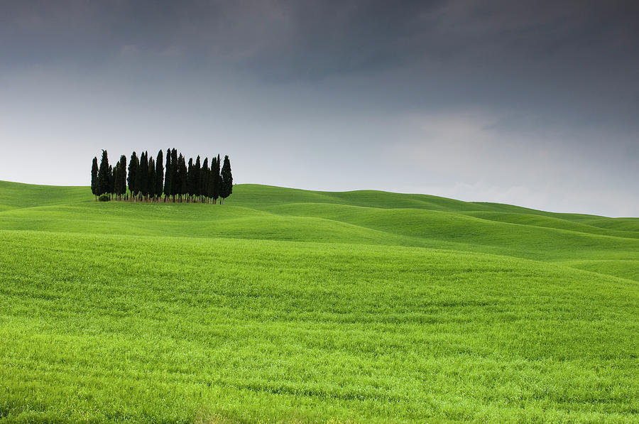 Cypress Trees Near San Quirico Dorcia Photograph by Sergio Pitamitz / Robertharding Cypress Trees Near San Quirico Dorcia Photograph by Sergio Pitamitz / Robertharding