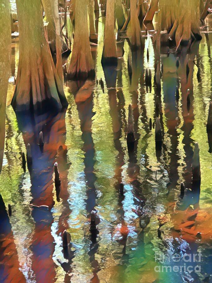 Cypress Trees Reflection on  the Water Photograph by Carol Riddle
