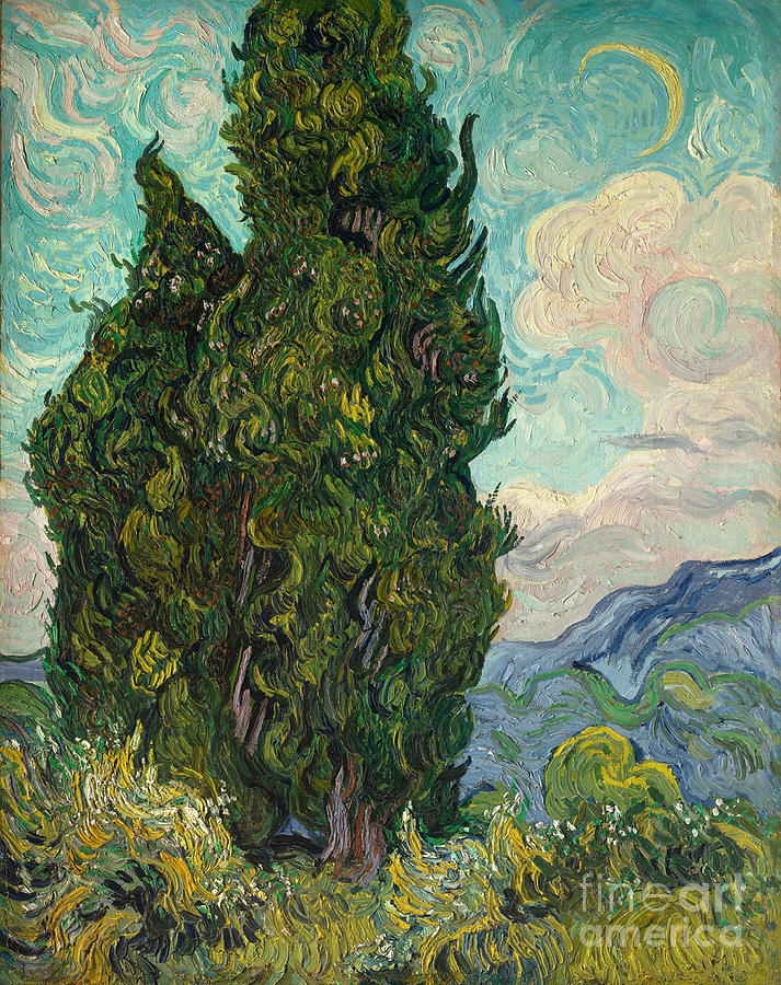 Cypresses. Artist Gogh, Vincent, Van Drawing by Heritage Images