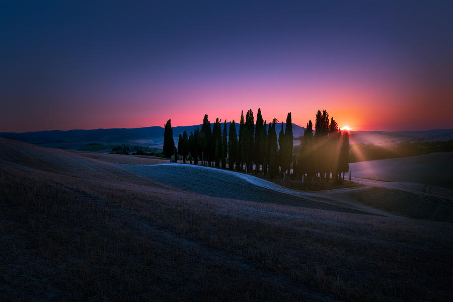 Sunset Photograph - Cypresses by Tommaso Pessotto