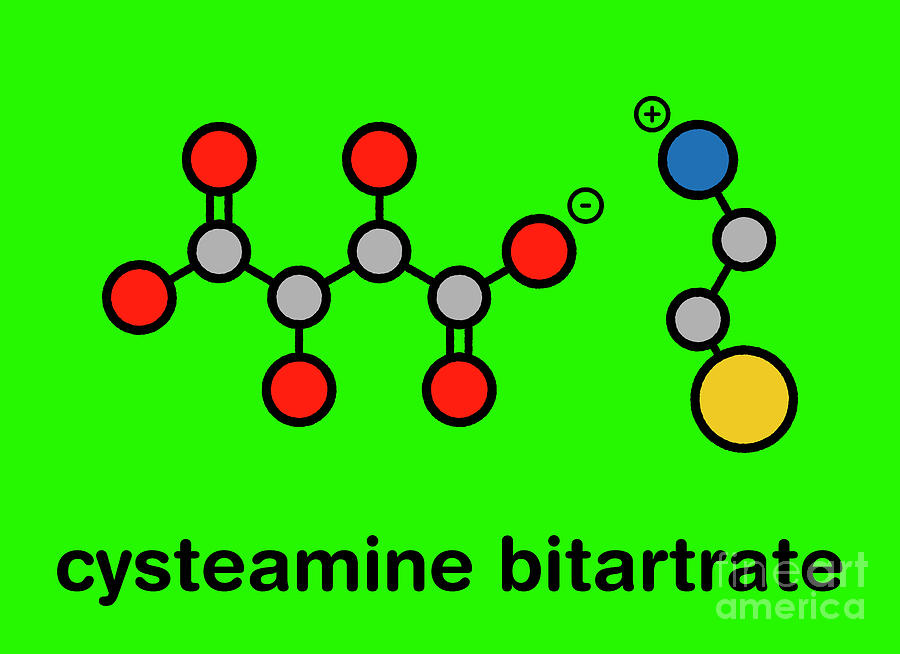 Cysteamine Bitartrate Huntingtons Disease Drug Molecule Photograph by Molekuul/science Photo Library