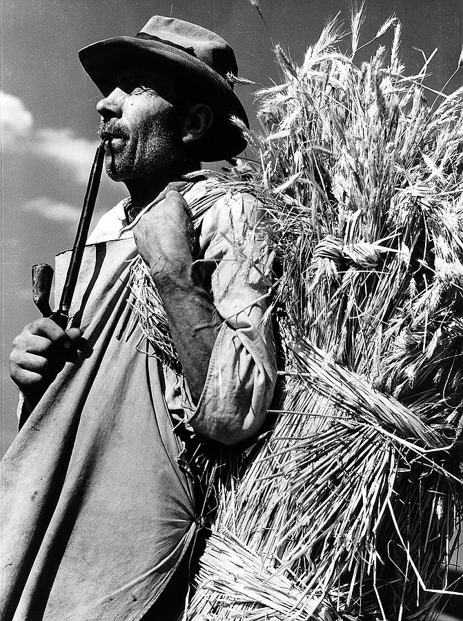 Cereal Photograph - Czech Republic by Margaret Bourke-White