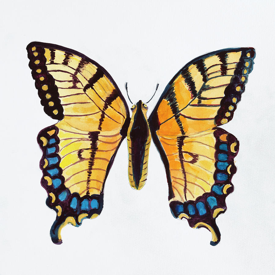 Insects Painting - D-butterfly Collection The Tiger Swallowtail by Joanne Porter