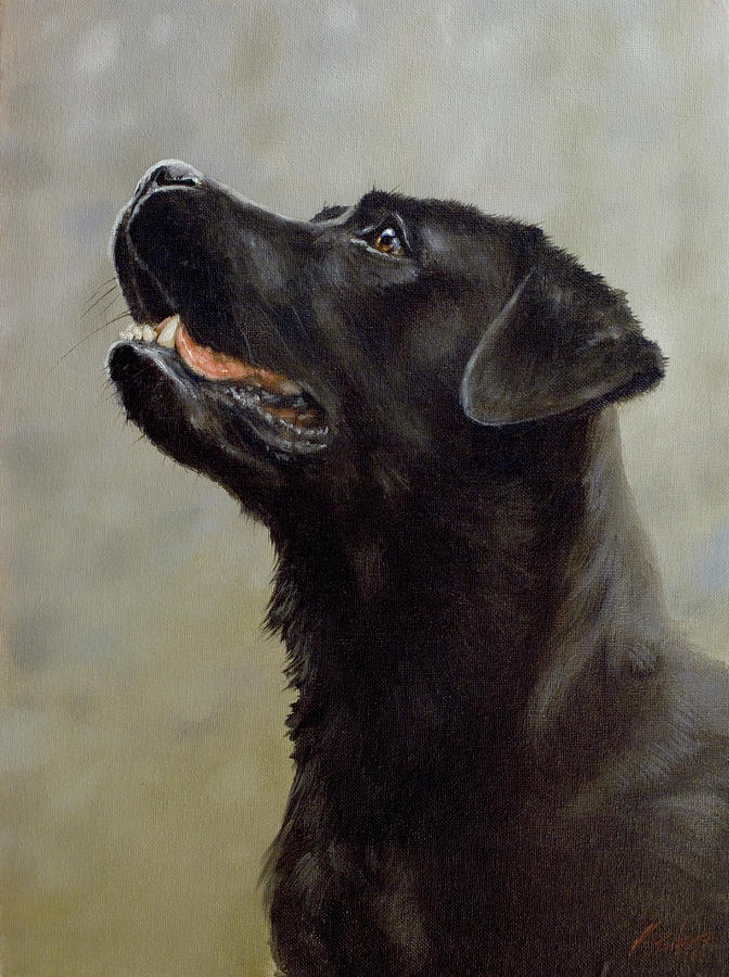 Dog Painting - D072b by John Silver