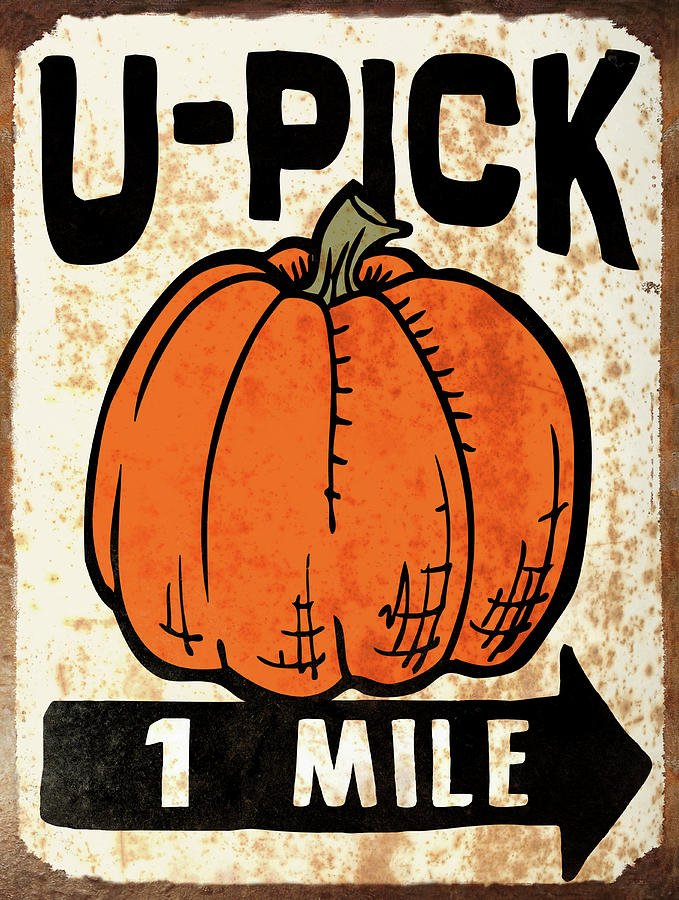 Fall Digital Art - D104574 U-pick Pumpkin by Retroplanet