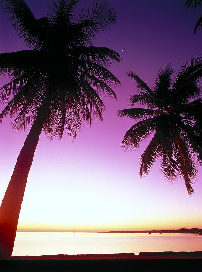 D953 Caribbean Sunrise, Bahamas Photograph by Stuart Westmorland