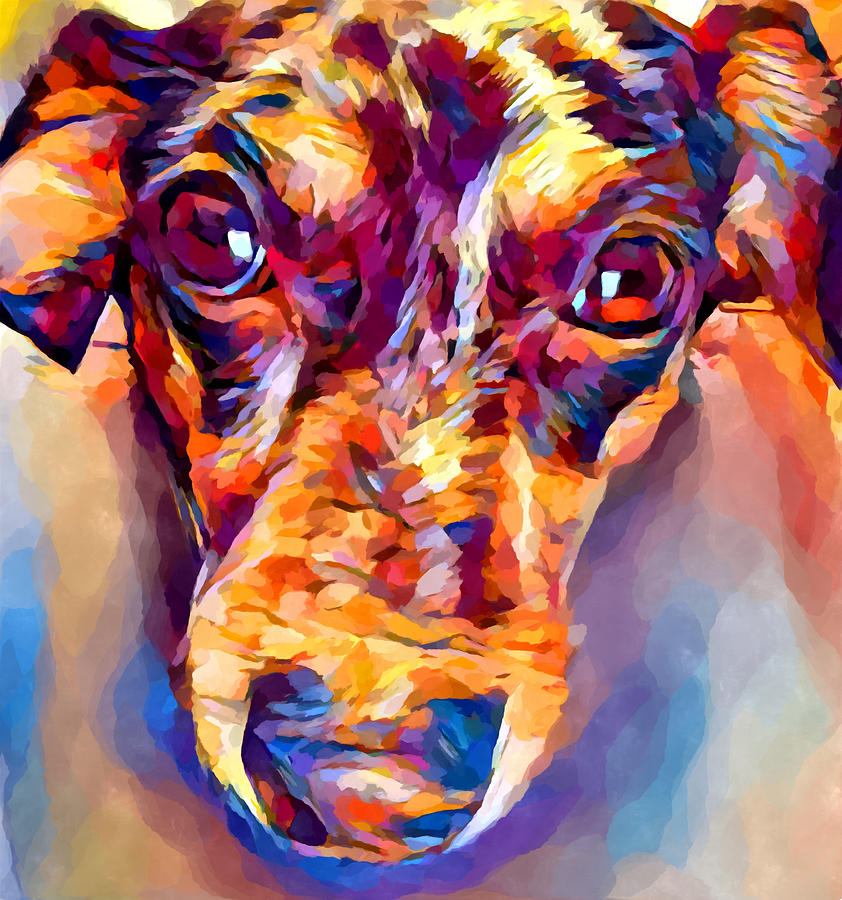 Dachshund 4 Painting by Chris Butler