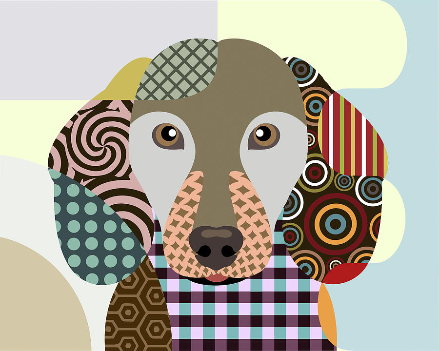 Animal Digital Art - Dachshund by Lanre Adefioye