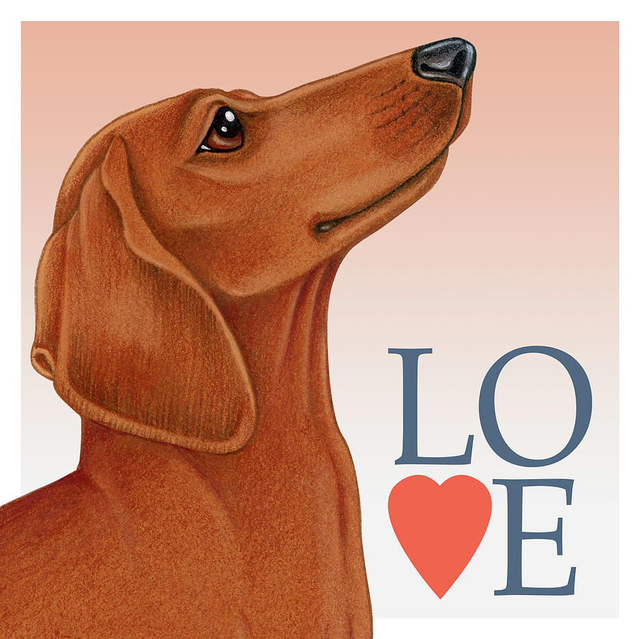 Inspirational Mixed Media - Dachshund Love by Tomoyo Pitcher
