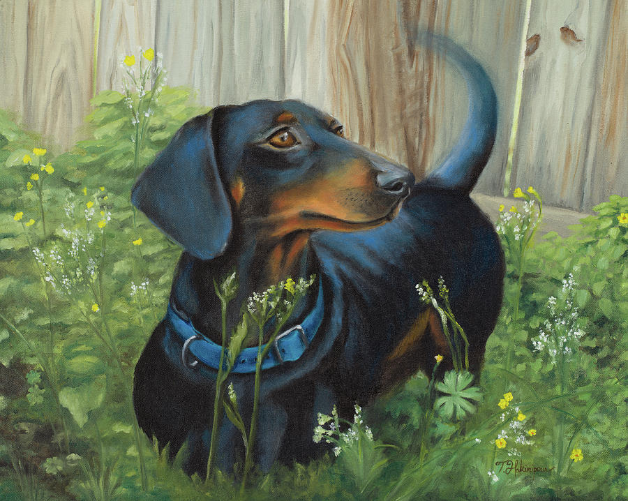 Animal Painting - Dachshund by Tiffany Hakimipour