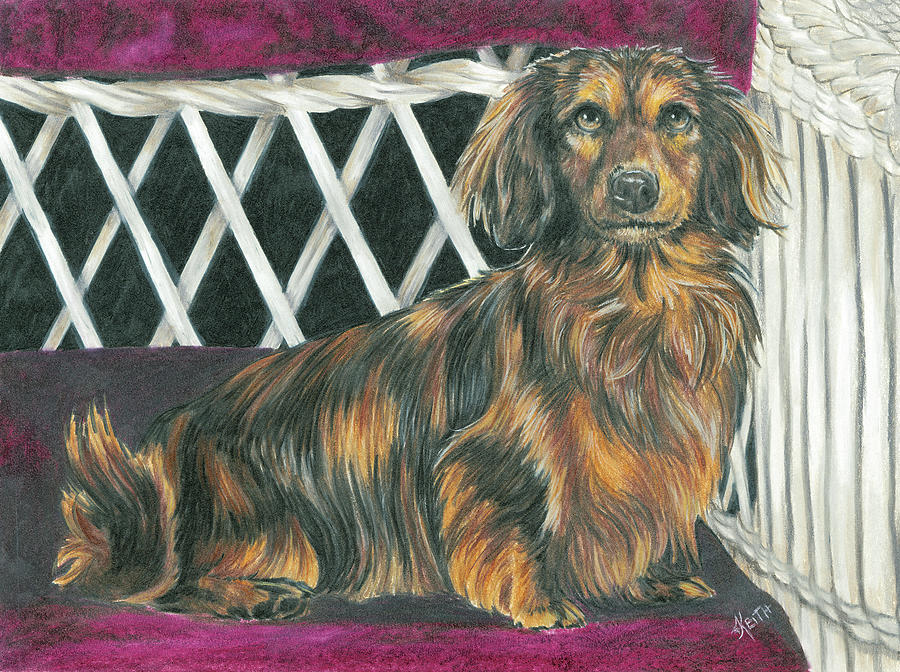 Dachsund In Wicker Chair Painting by Barbara Keith