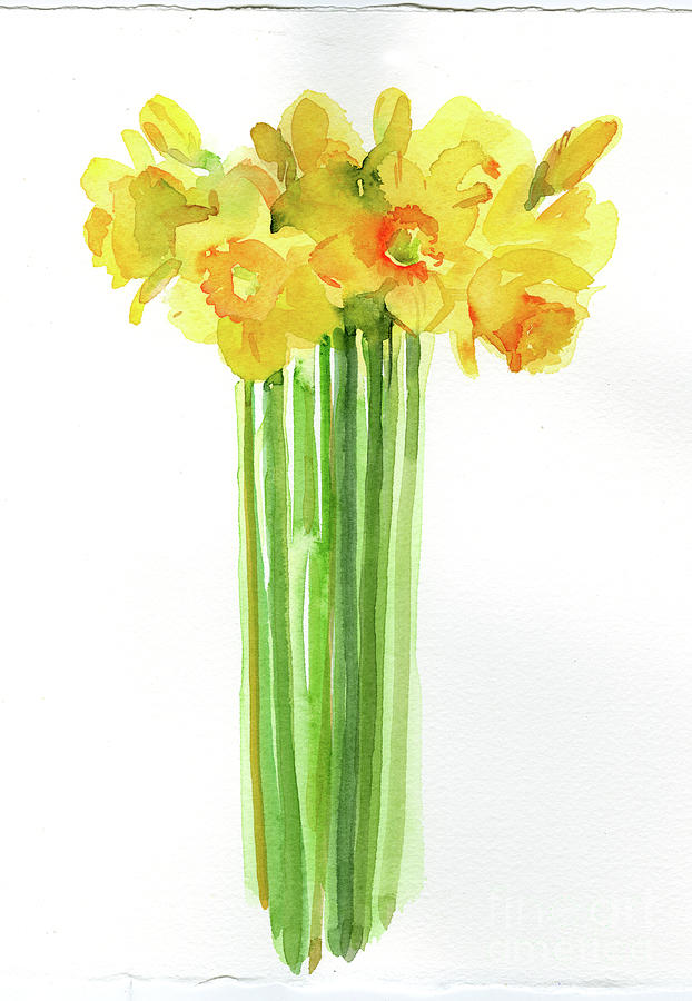 Daffodil Bunch, 2014 Watercolor Painting by John Keeling