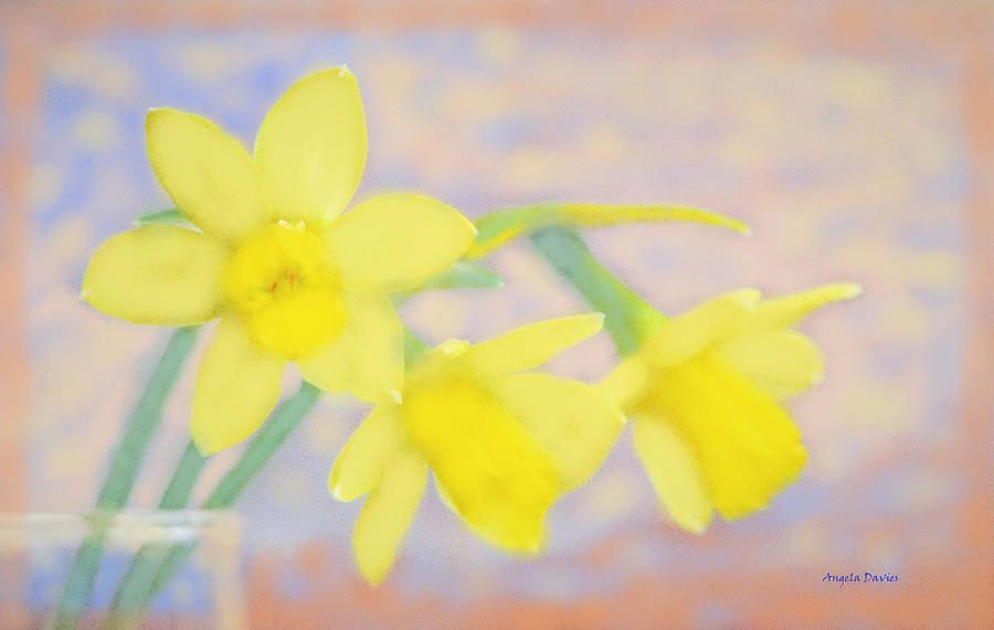 Daffodil Dawn Digital Art by Angela Davies