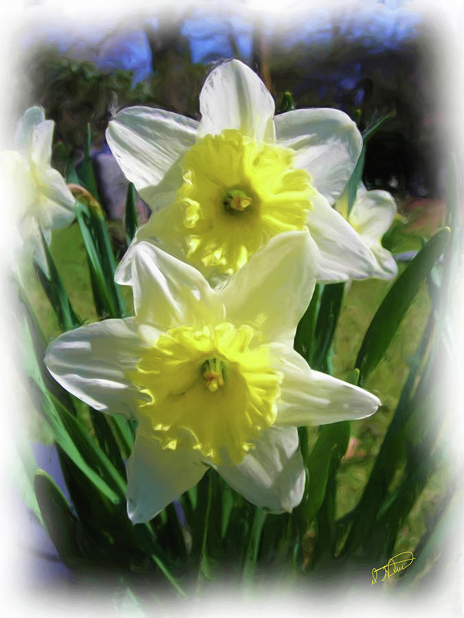 Daffodil-DWP091502002 Painting by Dean Wittle