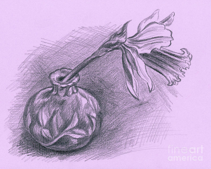 Daffodil in a Ceramic Vase Drawing by MM Anderson