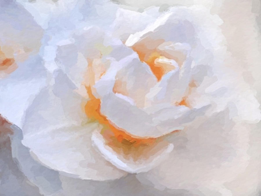 Daffodil inspiration by ANTHONY FISHBURNE Daffodil inspiration by ANTHONY FISHBURNE
