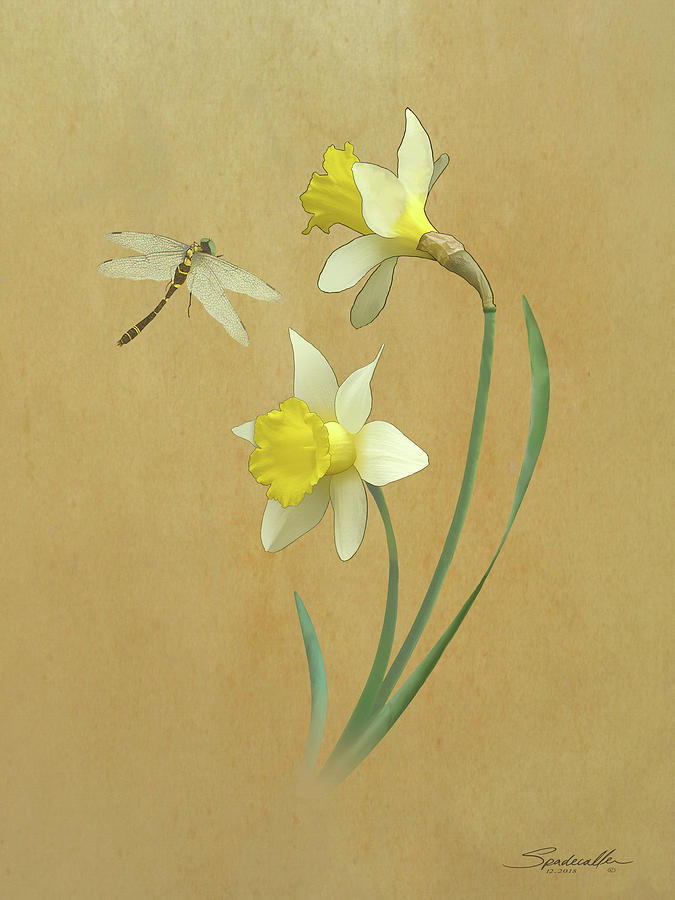 Daffodils and Dragonfly Digital Art by M Spadecaller