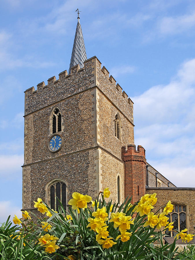 Daffodils Blooming at St. Marys Church Photograph by Gill Billington