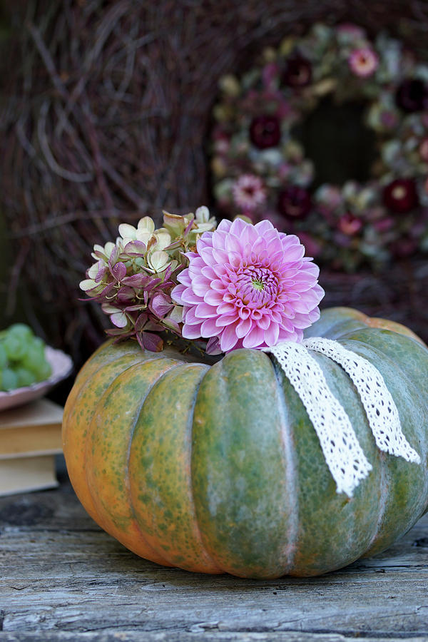 Dahlia And Hydrangea Flowers With Lace Ribbon On Top Of Pumpkin Photograph by Angelica Linnhoff