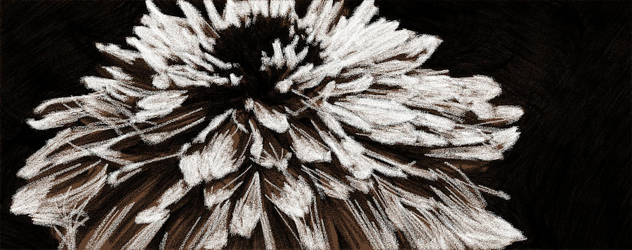 Dahlia En Noir by Alice Gipson Dahlia En Noir by Alice Gipson