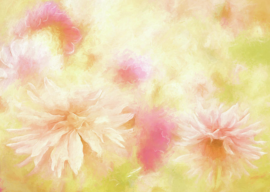 Dahlia Garden in Soft Pastel Colors Photograph by Sherrie Triest