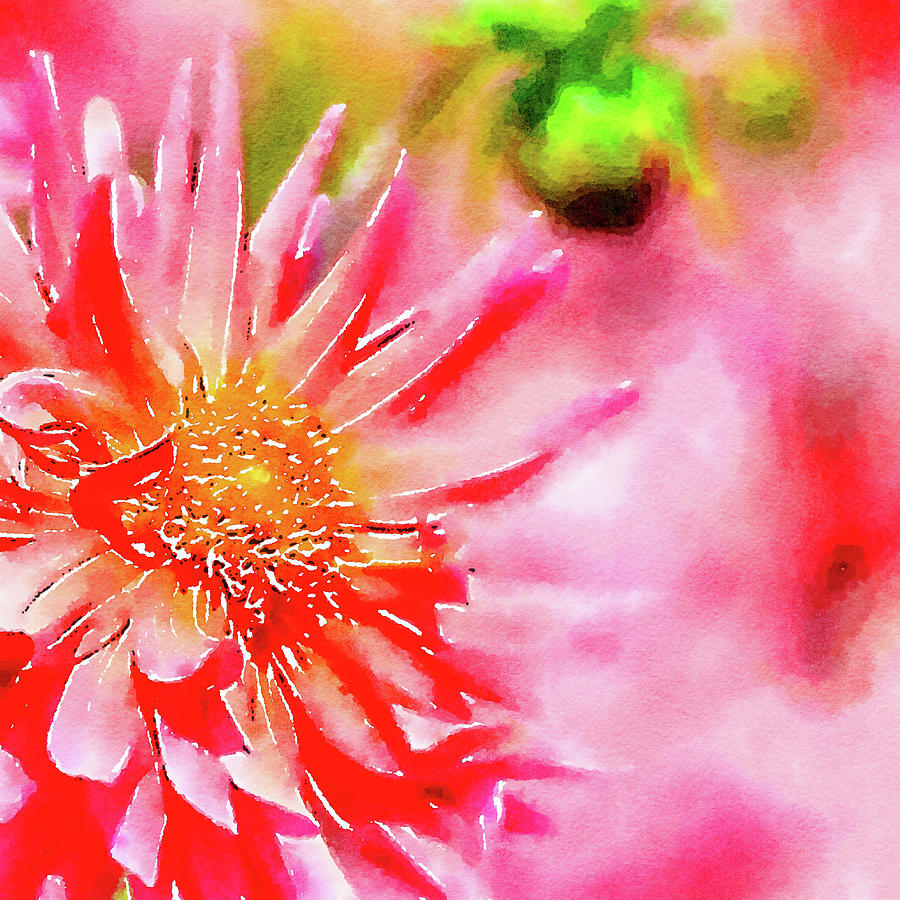 Dahlia Watercolor Painting by Bonnie Bruno