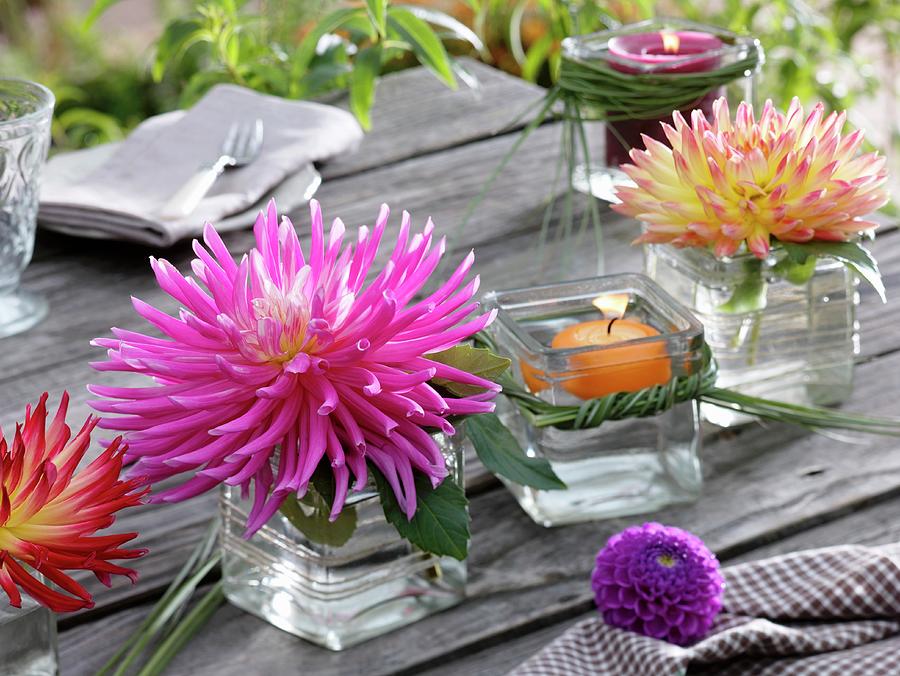 Dahlias And Floating Candle In Square Glasses Photograph by Strauss, Friedrich