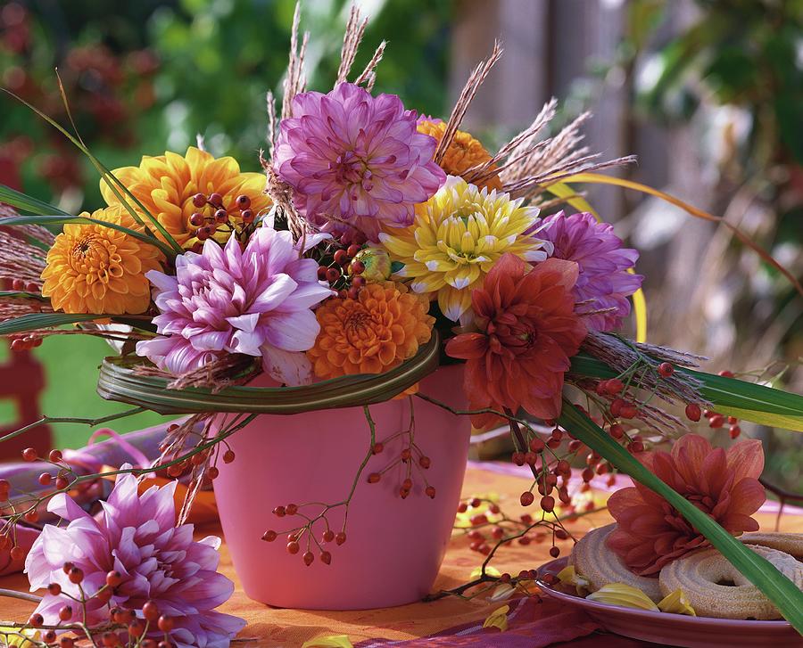 Dahlias, Chinese Silvergrass And Rose Hips In Pink Vase Photograph by Friedrich Strauss