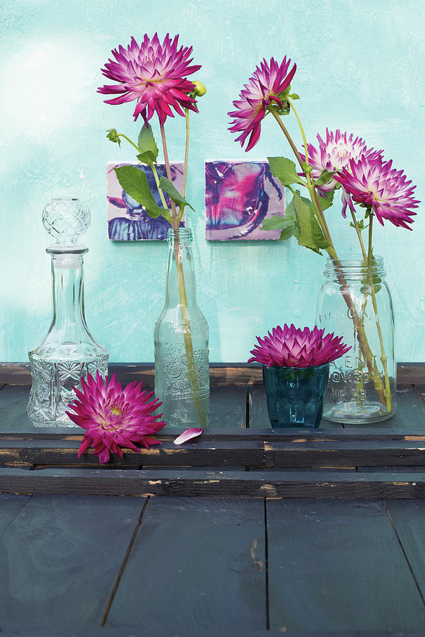 Dahlias In Glass Bottles Photograph by Patsy&christian