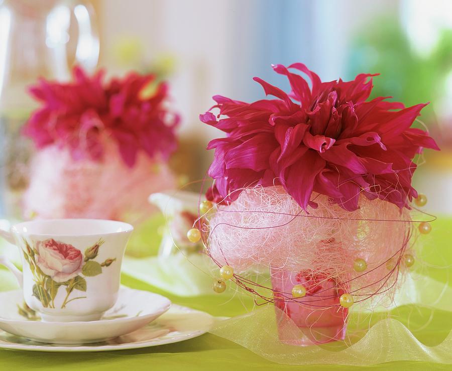 Dahlias In Glasses With Coloured Sisal And Pearls Photograph by Friedrich Strauss
