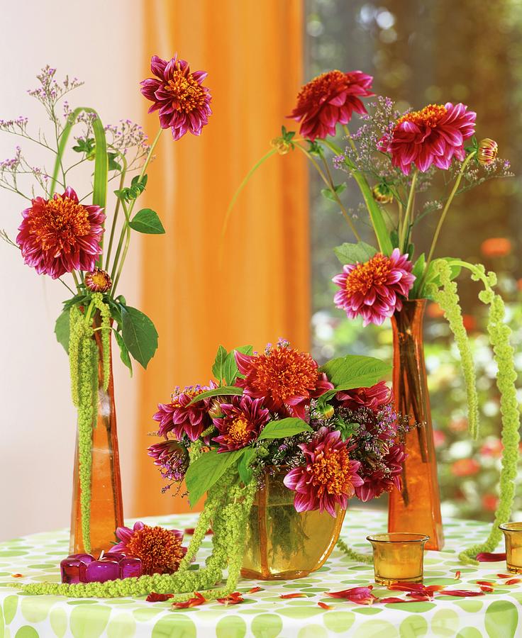 Dahlias, Sea Lavender And Amaranthus In Glass Vases Photograph by Friedrich Strauss
